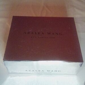 Azalea Wang Shoe Box (Empty) 10.5 in x 9 in Depth 4 in Metallic Silver